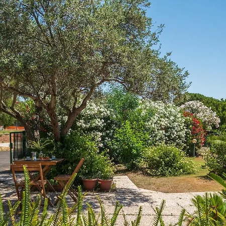 Apartmán Ampia E Accessoriata-private Garden - 500 Meters From The *